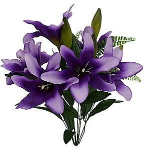 Lily Bush x 12 - Purple SB55654-007