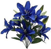 Lily Bush x 12 - Royal SB55654-010