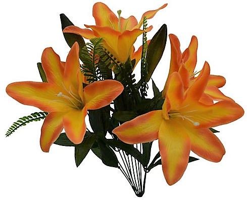 Lily Bush x 12 - Orange SB55654-086