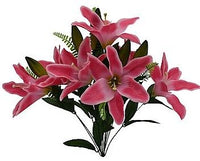 Lily Bush x 12 - Rubrum SB55654-106