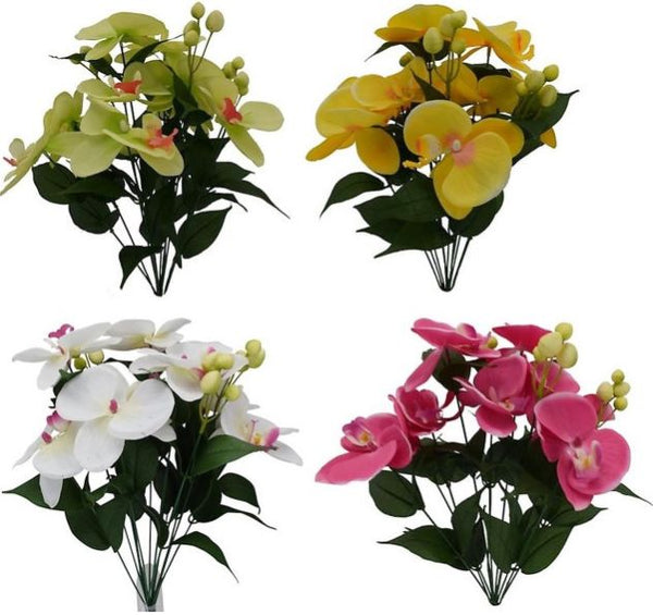 Orchid Bush x 4 - 4 Assorted Green Yellow White Pink SB55775-001