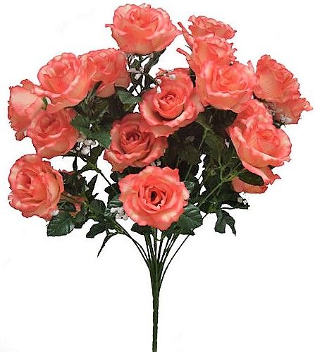 Rose / Gypso Bush x 24 - Coral SB55638-221