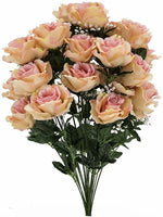 Rose / Gypso Bush x 24 - Peach / Pink SB55638-009