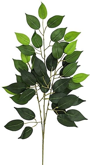 Ficus Spray x 42 Leaves - Green SG780028-063