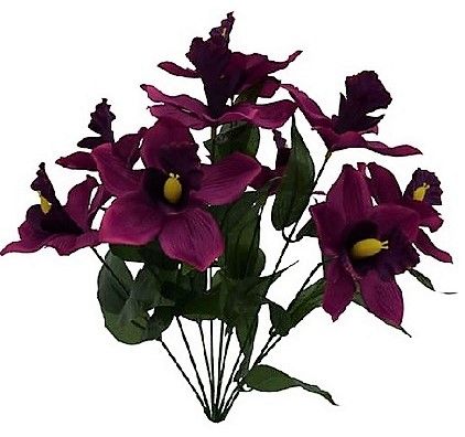 Orchid Bush x 9 - Fuschia SB55791-057