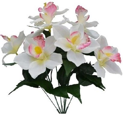 Orchid Bush x 9 - Cream / Beauty SB55791-210