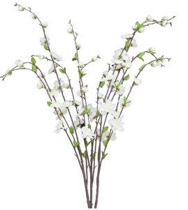 Cherry Blossom Plant x 3 - White SB781399-003
