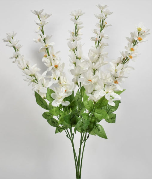 Spike Flower Bush x 5 - White SB781381-003