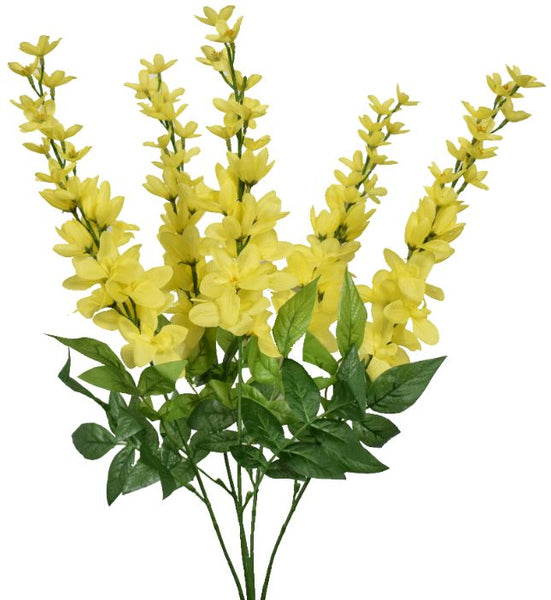 Spike Flower Bush x 5 - Yellow SB781381-005