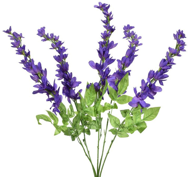 Spike Flower Bush x 5 - Purple SB781381-007