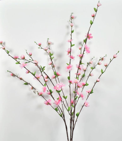 Cherry Blossom Plant x 3 - Pink SB781399-004