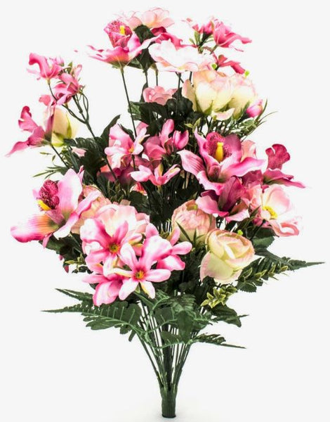 Cymbidium / Poppy / Eggflower Mixed Bush x 36 - Pink SB54170-004/CH-388