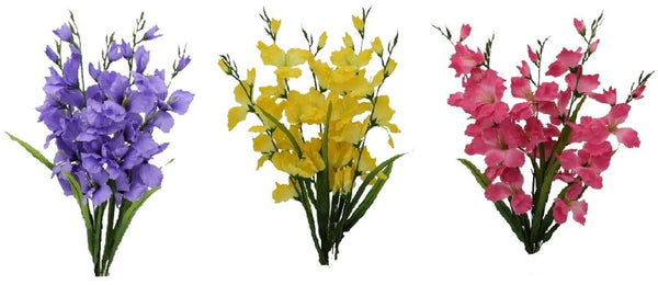 Gladiolus Bush x 5 - Spring Assortment Purple Yellow Pink SB55336-018/CH-433