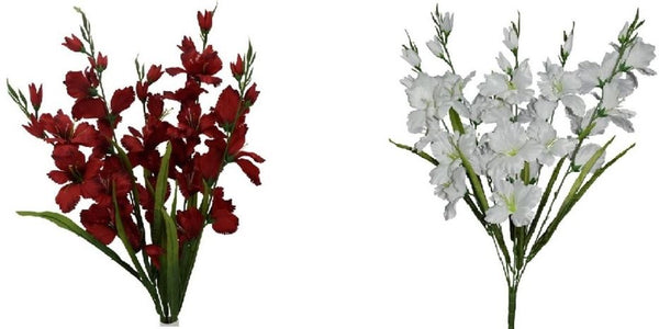 Gladiolus Bush x 5 - Red / White - 2 Assorted SB55336-102/CH-392