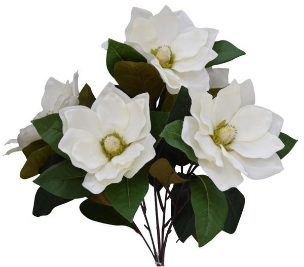 Magnolia Bush x 5 - Cream SB55633-049
