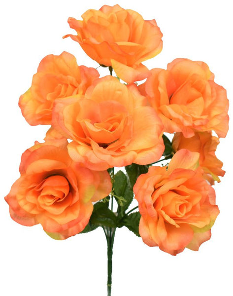 Rose Bush x 7 - Orange SB55542-086
