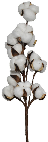 Cotton Spray - 26" N8518