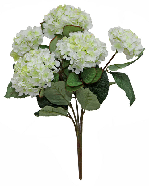 Hydrangea Bush x 5 White - SB78515-003